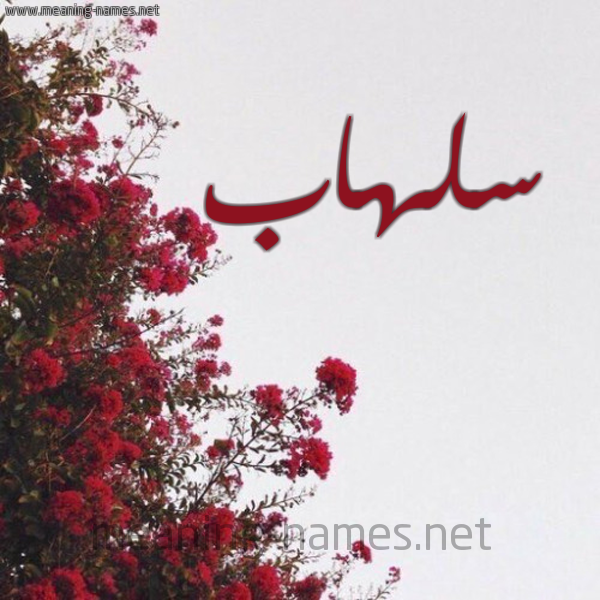 شكل 18 صوره الورد الأحمر للإسم بخط رقعة صورة اسم سلهاب Slhab