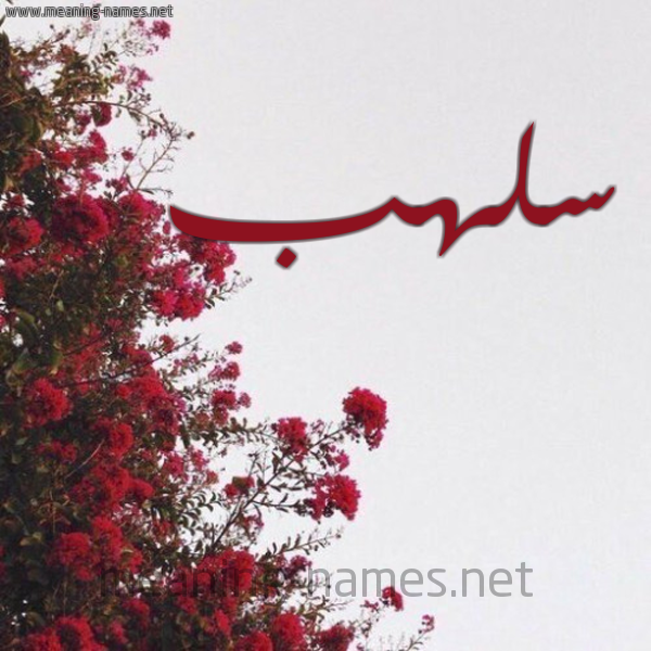 شكل 18 صوره الورد الأحمر للإسم بخط رقعة صورة اسم سلهب Slhb