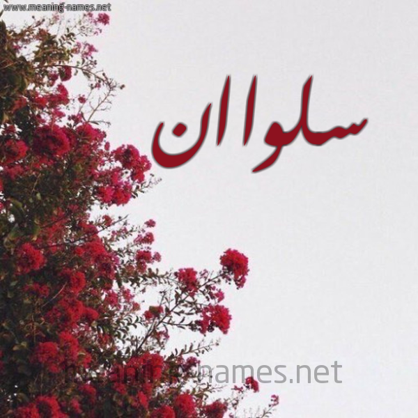 شكل 18 صوره الورد الأحمر للإسم بخط رقعة صورة اسم سلواان Salwan
