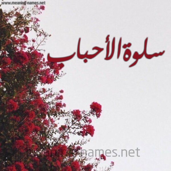 شكل 18 صوره الورد الأحمر للإسم بخط رقعة صورة اسم سلوةالأحباب Slwhal'ahbab