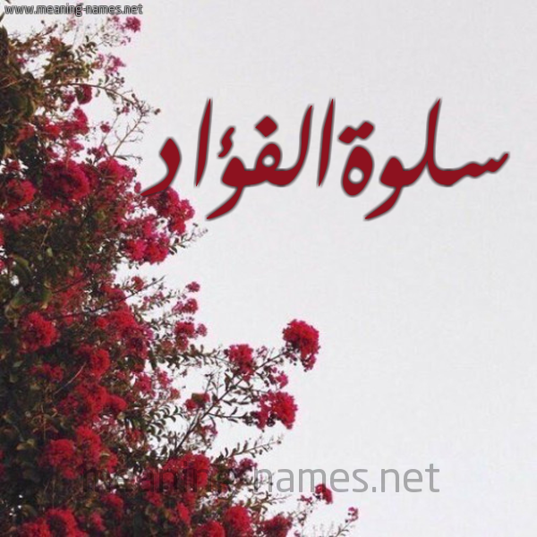 شكل 18 صوره الورد الأحمر للإسم بخط رقعة صورة اسم سلوةالفؤاد Slwhalfu'ad