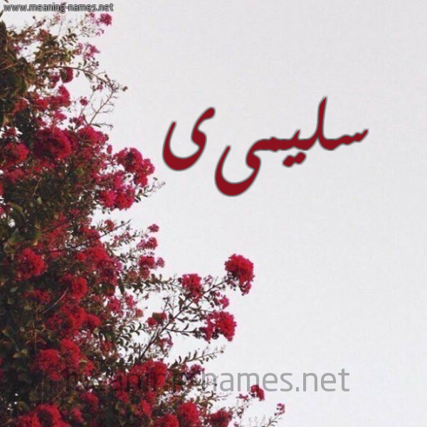 شكل 18 صوره الورد الأحمر للإسم بخط رقعة صورة اسم سليمىى Sulaima