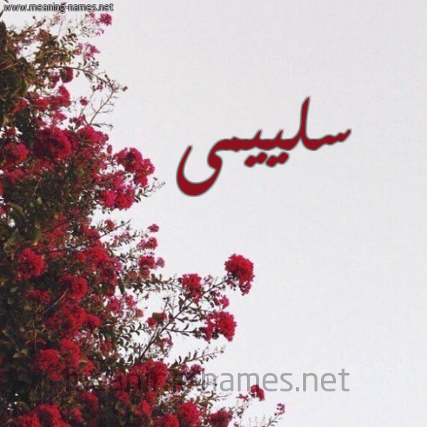 شكل 18 صوره الورد الأحمر للإسم بخط رقعة صورة اسم سلييمى Sulaima