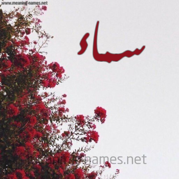 شكل 18 صوره الورد الأحمر للإسم بخط رقعة صورة اسم سماء Sma'a