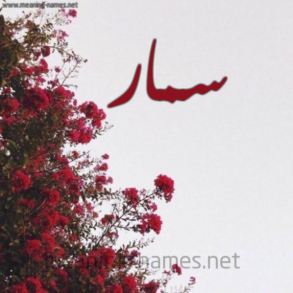 شكل 18 صوره الورد الأحمر للإسم بخط رقعة صورة اسم سمار Samar