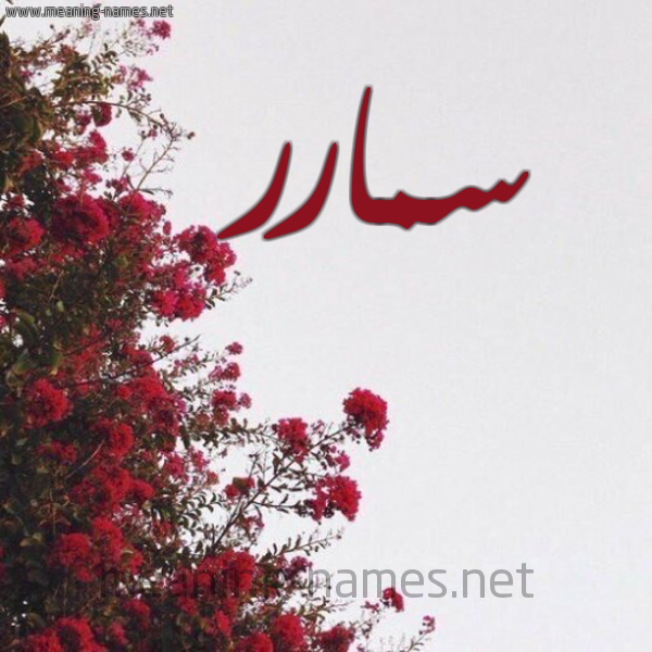 شكل 18 صوره الورد الأحمر للإسم بخط رقعة صورة اسم سمارر Samar