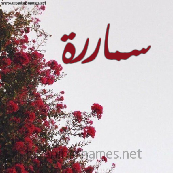 شكل 18 صوره الورد الأحمر للإسم بخط رقعة صورة اسم سماررة Samarah