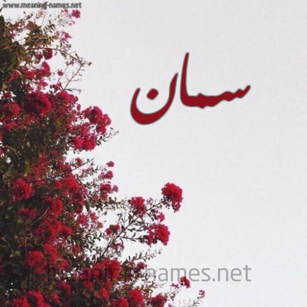 شكل 18 صوره الورد الأحمر للإسم بخط رقعة صورة اسم سمان Sman