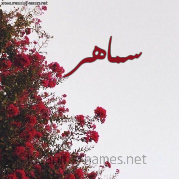 شكل 18 صوره الورد الأحمر للإسم بخط رقعة صورة اسم سماهر Smahr