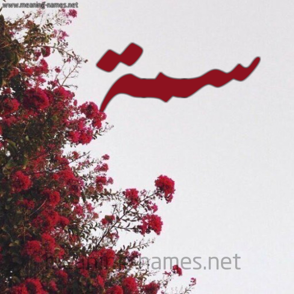 شكل 18 صوره الورد الأحمر للإسم بخط رقعة صورة اسم سمة Sema