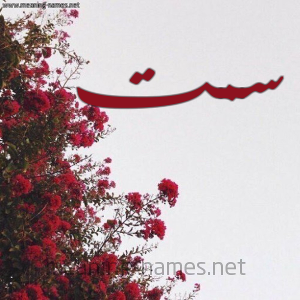 شكل 18 صوره الورد الأحمر للإسم بخط رقعة صورة اسم سمت Smt