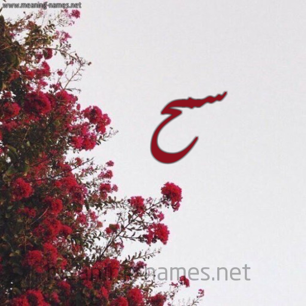 شكل 18 صوره الورد الأحمر للإسم بخط رقعة صورة اسم سمح SMH