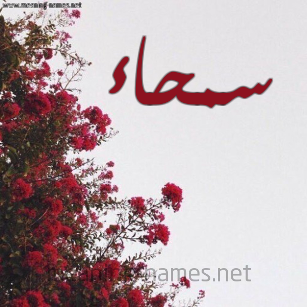 شكل 18 صوره الورد الأحمر للإسم بخط رقعة صورة اسم سمحاء Smha'a