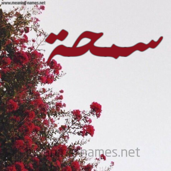 شكل 18 صوره الورد الأحمر للإسم بخط رقعة صورة اسم سمحة Smhh