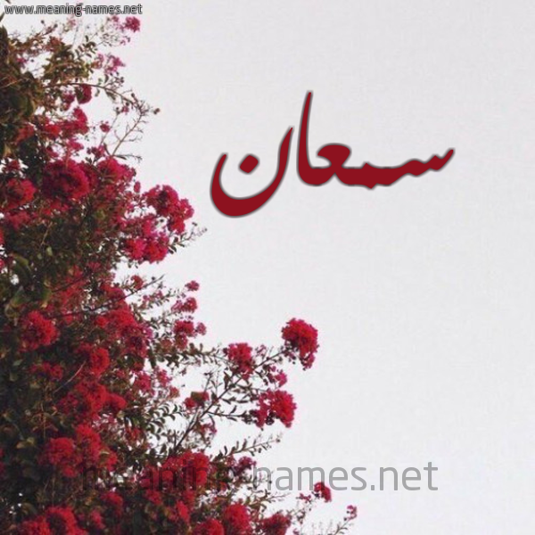 شكل 18 صوره الورد الأحمر للإسم بخط رقعة صورة اسم سمعان Smaan