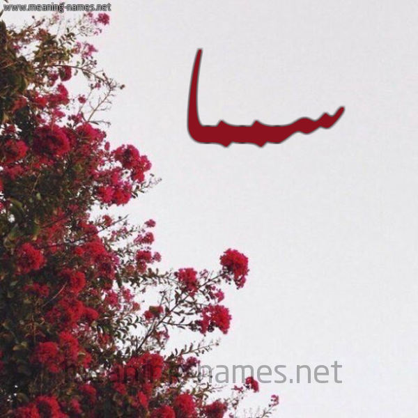 شكل 18 صوره الورد الأحمر للإسم بخط رقعة صورة اسم سمما Sama