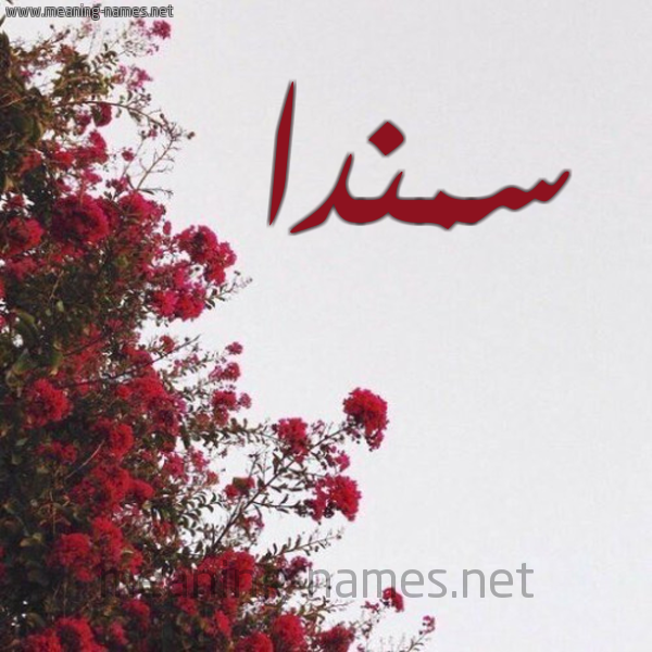 شكل 18 صوره الورد الأحمر للإسم بخط رقعة صورة اسم سمندا smnda