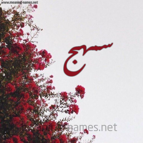 شكل 18 صوره الورد الأحمر للإسم بخط رقعة صورة اسم سمهج Smhj