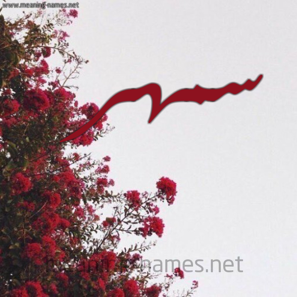 شكل 18 صوره الورد الأحمر للإسم بخط رقعة صورة اسم سمهر smhar