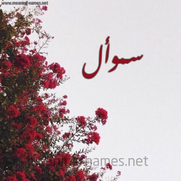 شكل 18 صوره الورد الأحمر للإسم بخط رقعة صورة اسم سموأل SMOAL