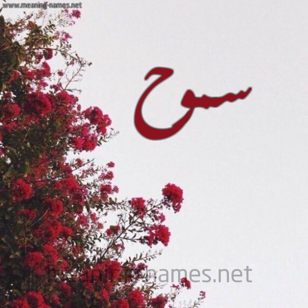 شكل 18 صوره الورد الأحمر للإسم بخط رقعة صورة اسم سموح SMOH