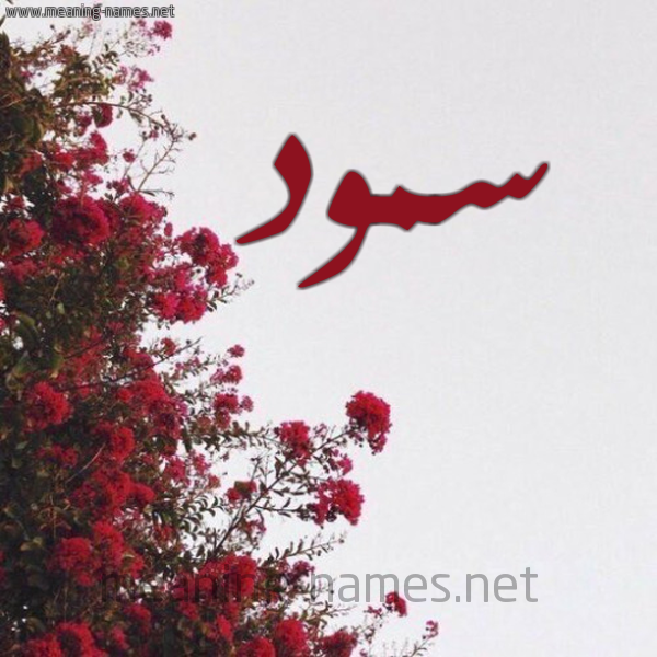 شكل 18 صوره الورد الأحمر للإسم بخط رقعة صورة اسم سمود Smwd