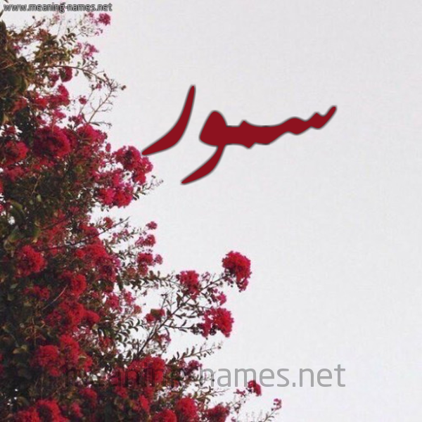 شكل 18 صوره الورد الأحمر للإسم بخط رقعة صورة اسم سمور Samor
