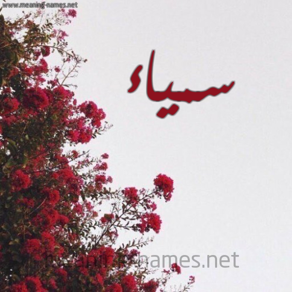 شكل 18 صوره الورد الأحمر للإسم بخط رقعة صورة اسم سمياء Samiaa