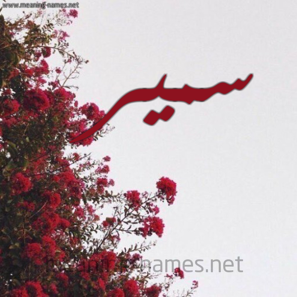 شكل 18 صوره الورد الأحمر للإسم بخط رقعة صورة اسم سمير Samir