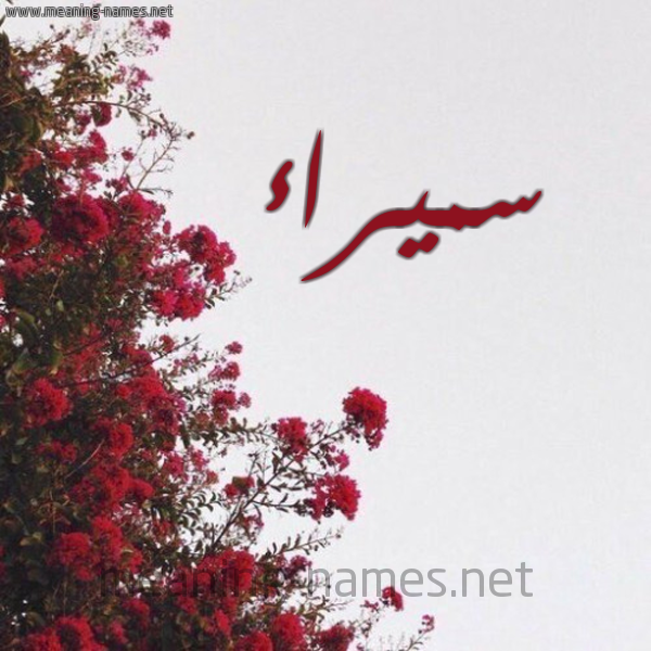 شكل 18 صوره الورد الأحمر للإسم بخط رقعة صورة اسم سميراء Smyra'a