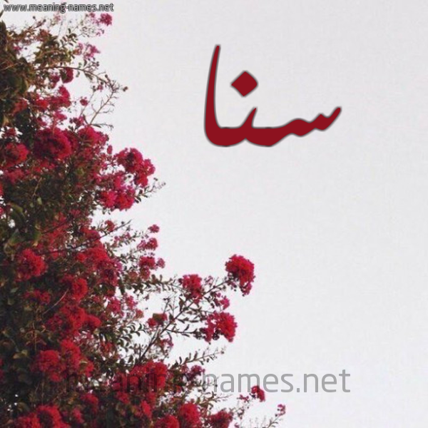 شكل 18 صوره الورد الأحمر للإسم بخط رقعة صورة اسم سنا snaa