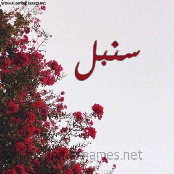 شكل 18 صوره الورد الأحمر للإسم بخط رقعة صورة اسم سنبل Sonbl