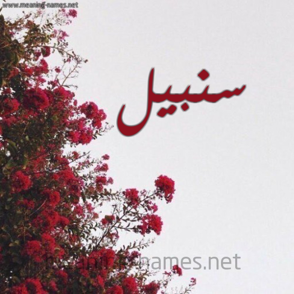 شكل 18 صوره الورد الأحمر للإسم بخط رقعة صورة اسم سنبيل Sunbul