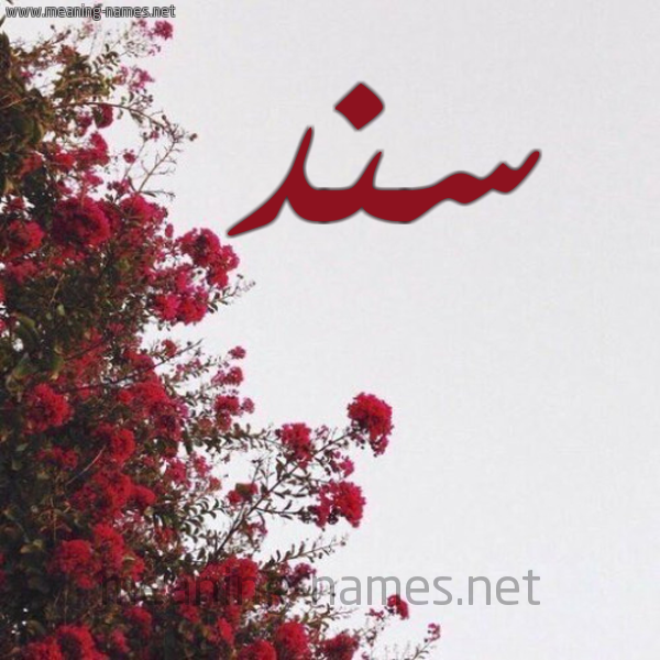 شكل 18 صوره الورد الأحمر للإسم بخط رقعة صورة اسم سند Snd