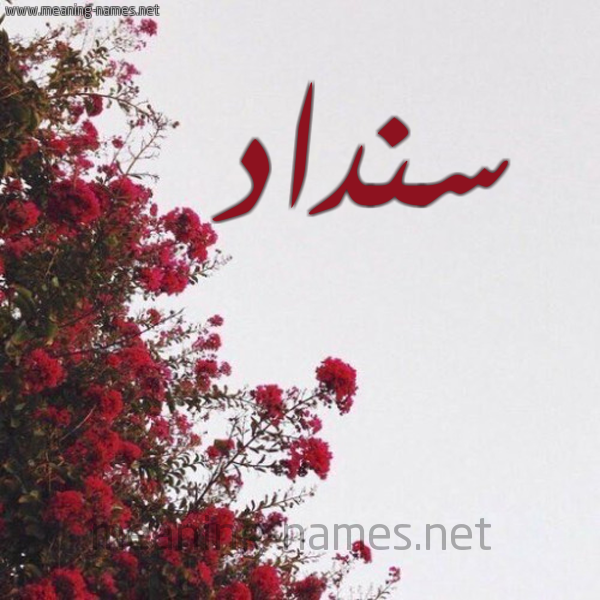 شكل 18 صوره الورد الأحمر للإسم بخط رقعة صورة اسم سنداد Sndad