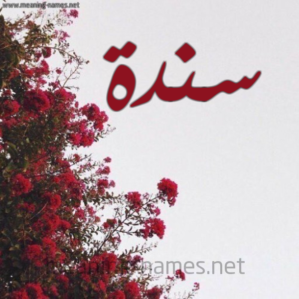 شكل 18 صوره الورد الأحمر للإسم بخط رقعة صورة اسم سندة Sanada