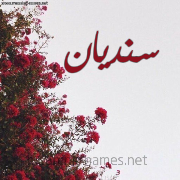 شكل 18 صوره الورد الأحمر للإسم بخط رقعة صورة اسم سنديان Sndyan
