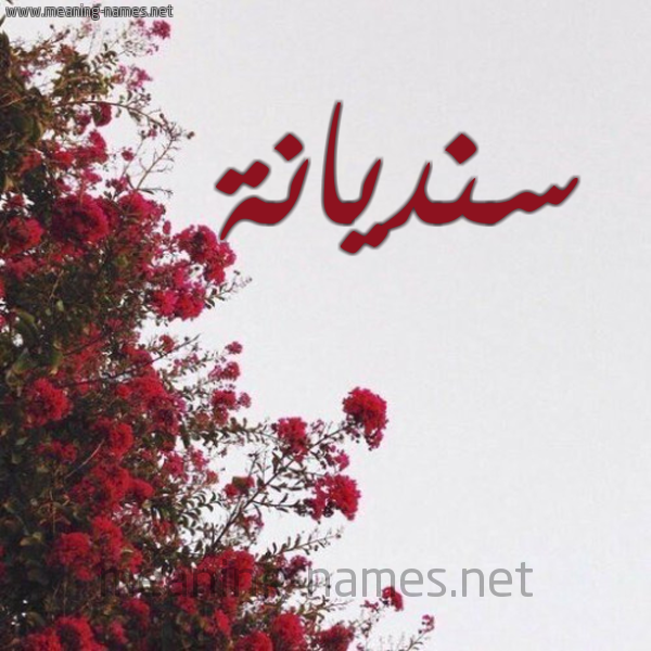 شكل 18 صوره الورد الأحمر للإسم بخط رقعة صورة اسم سنديانة Sndyanh