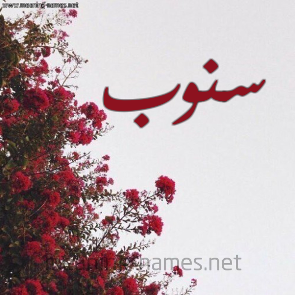 شكل 18 صوره الورد الأحمر للإسم بخط رقعة صورة اسم سنوب Snwb