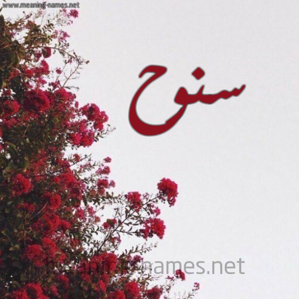 شكل 18 صوره الورد الأحمر للإسم بخط رقعة صورة اسم سنوح Snwh
