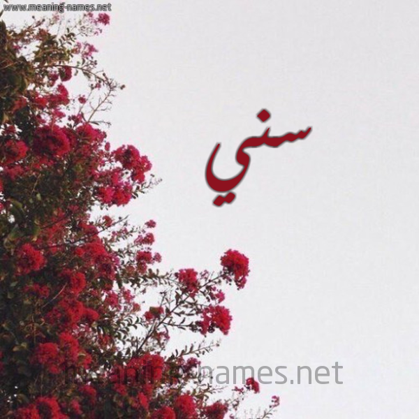 شكل 18 صوره الورد الأحمر للإسم بخط رقعة صورة اسم سني Sny