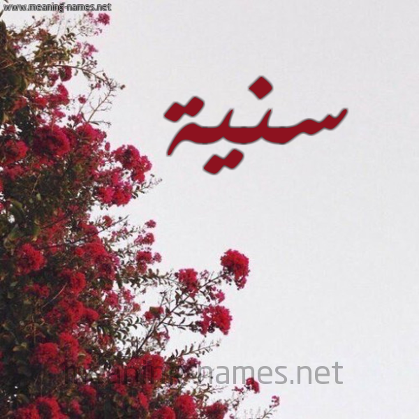 شكل 18 صوره الورد الأحمر للإسم بخط رقعة صورة اسم سنية Snya