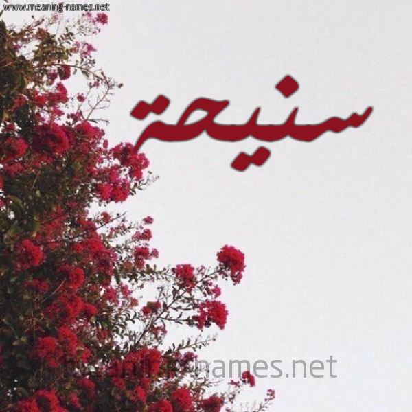 شكل 18 صوره الورد الأحمر للإسم بخط رقعة صورة اسم سنيحة Snyhh