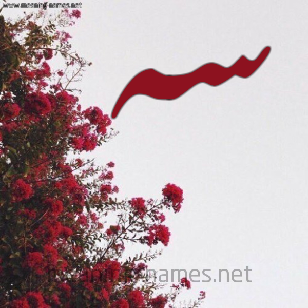 شكل 18 صوره الورد الأحمر للإسم بخط رقعة صورة اسم سه SH
