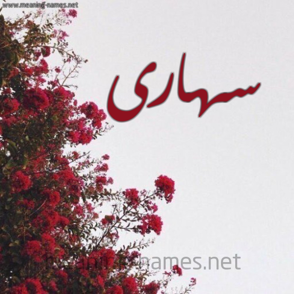 شكل 18 صوره الورد الأحمر للإسم بخط رقعة صورة اسم سهارى S'hara