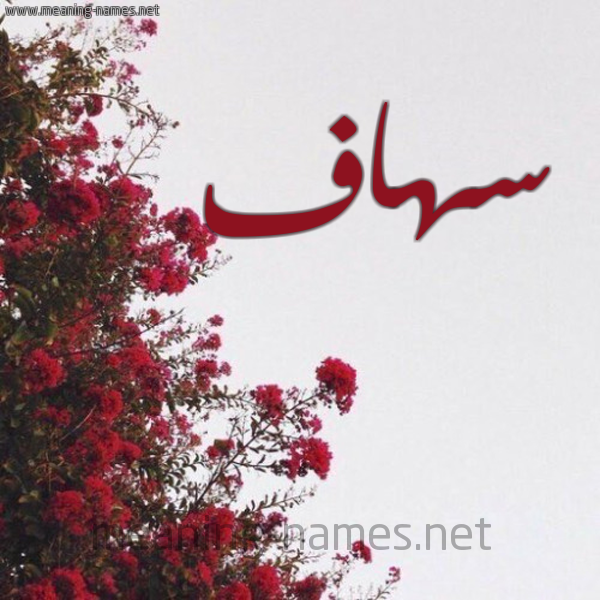 شكل 18 صوره الورد الأحمر للإسم بخط رقعة صورة اسم سهاف Sohaf