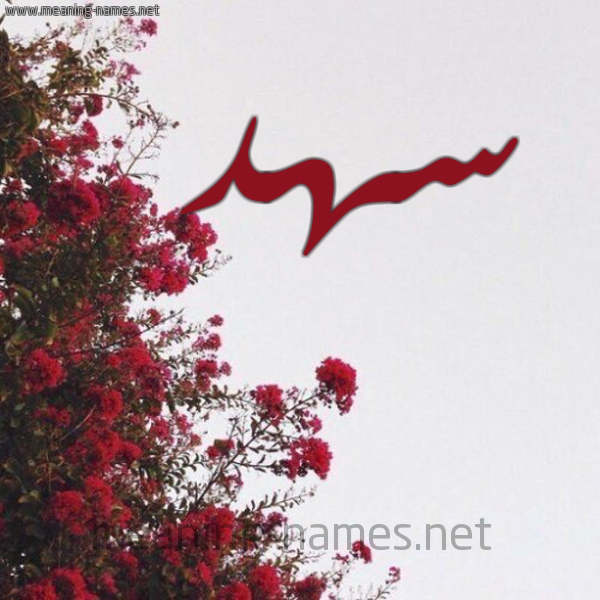 شكل 18 صوره الورد الأحمر للإسم بخط رقعة صورة اسم سهد S'hd