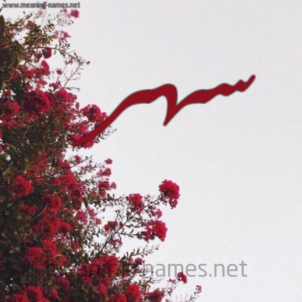 شكل 18 صوره الورد الأحمر للإسم بخط رقعة صورة اسم سهر Sahr
