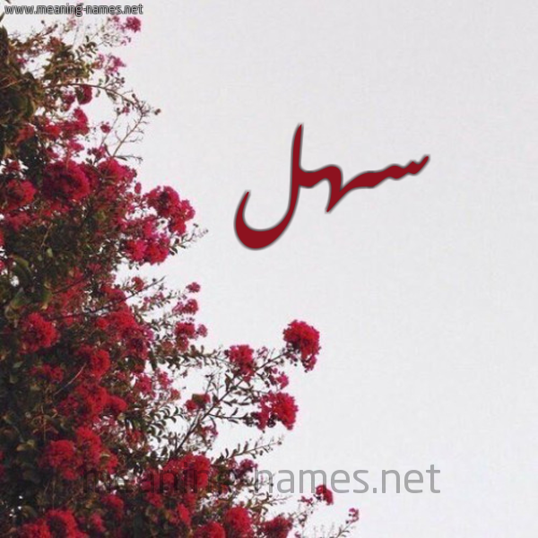 شكل 18 صوره الورد الأحمر للإسم بخط رقعة صورة اسم سهل Sahl