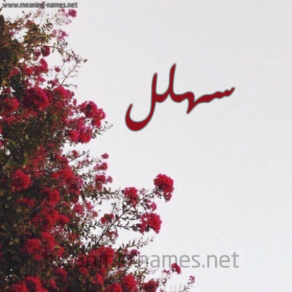 شكل 18 صوره الورد الأحمر للإسم بخط رقعة صورة اسم سهلل Sahl